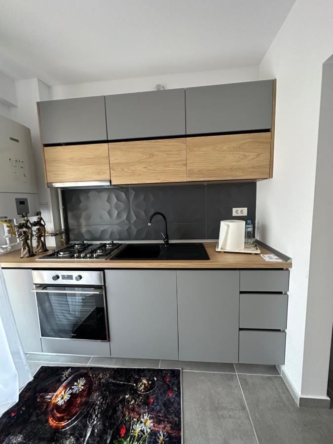 Apartamente Arinis Gura Humorului Ngoại thất bức ảnh